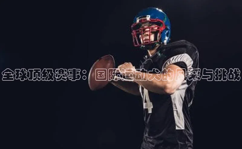 悟空娱乐官方网站入口百度集团全球顶级赛事：国际运动犬的风采与挑战