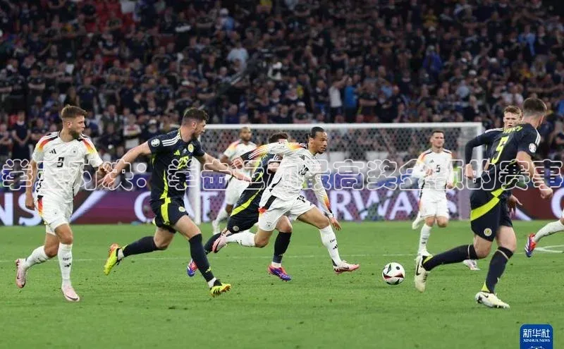 拳王对决：拳击运动最高奖金额的赛事