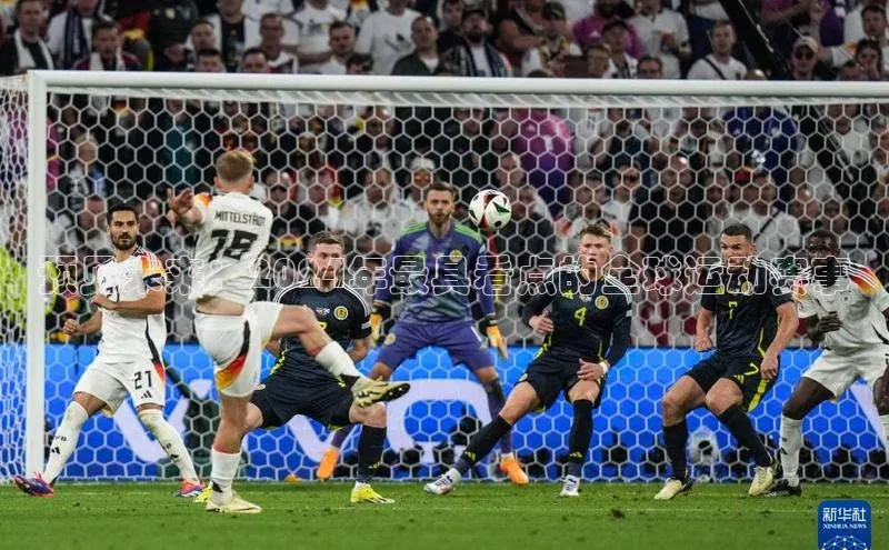 预见未来：2024年最具看点的全球运动赛事