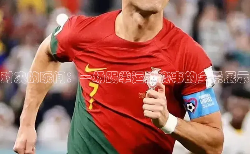 对决的瞬间：一场踢拳运动赛事的全景展示