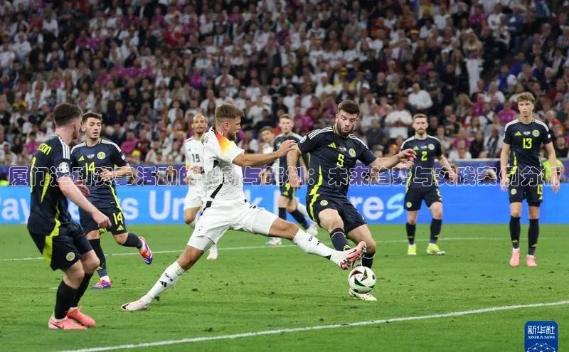 厦门运动赛事活动的创新与策划：未来趋势与实践案例分析