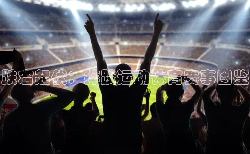 跌宕起伏：摔跤运动体育赛事图鉴