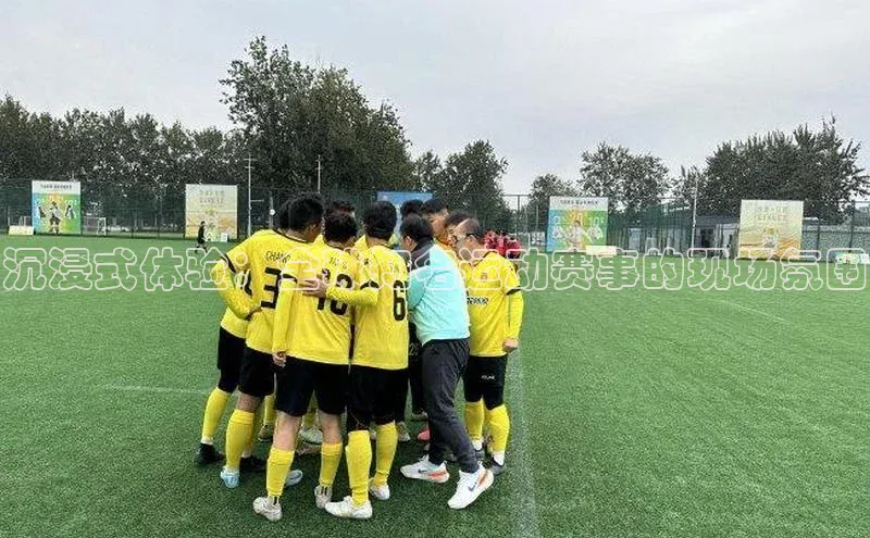 沉浸式体验：全球知名运动赛事的现场氛围