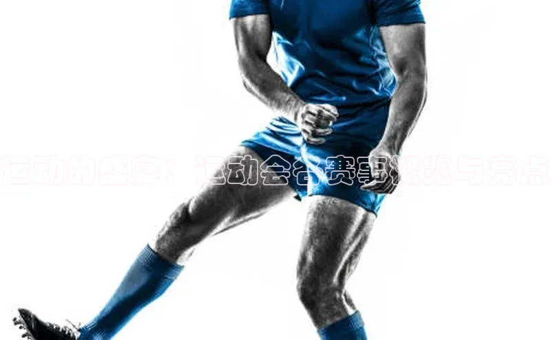 运动的盛宴：运动会各赛事概览与亮点