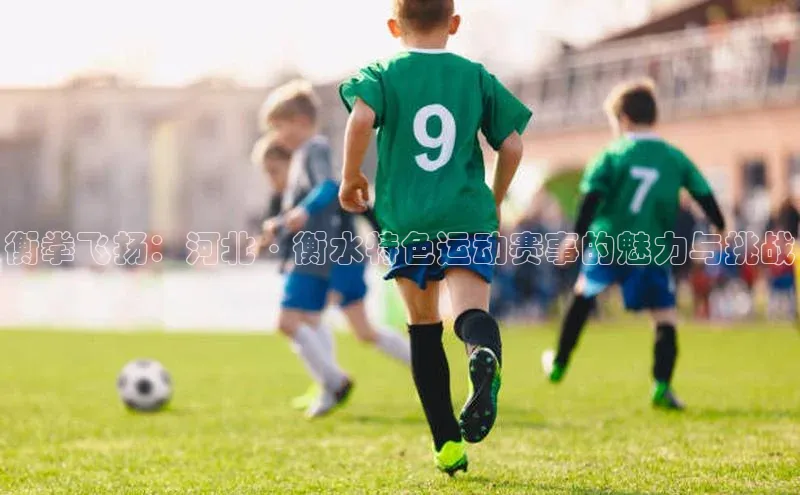 衡拳飞扬：河北·衡水特色运动赛事的魅力与挑战