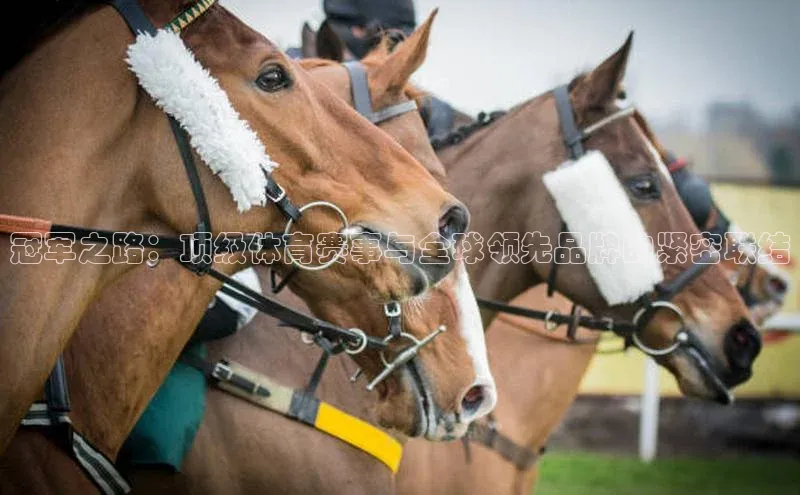 冠军之路：顶级体育赛事与全球领先品牌的紧密联结