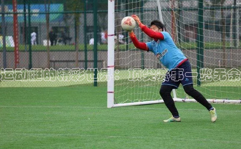 运动艇的精彩世界：顶尖赛事一览无余