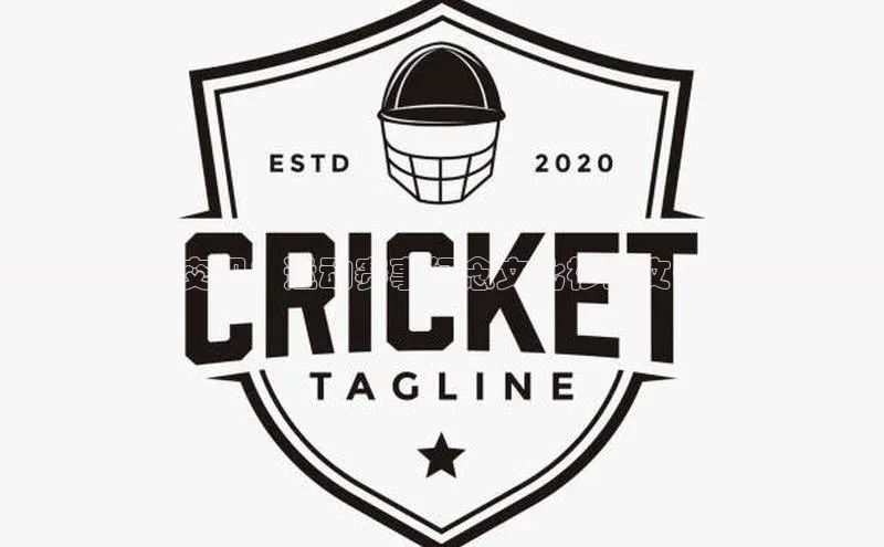 传承与潮流交织：运动赛事纪念文化衫的文化诠释与创新