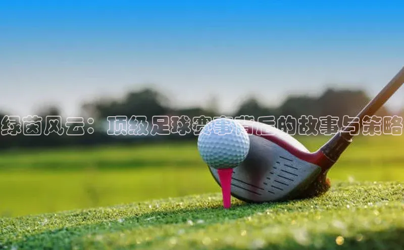 绿茵风云：顶级足球赛事背后的故事与策略