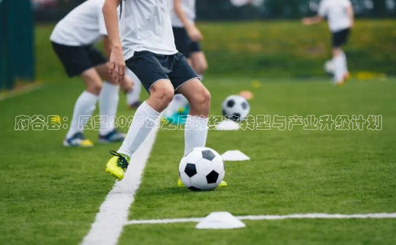 悟空体育app官方网站入口