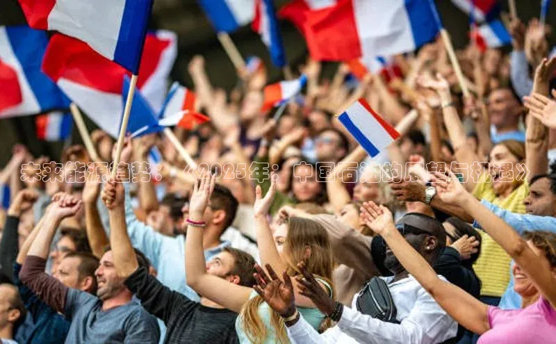 未来能源趋势：《2025年：中国石油的展望与机遇》